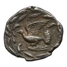 coin rev