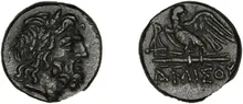 coin rev