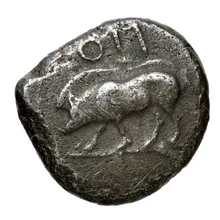 coin obv