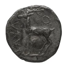 coin rev