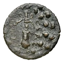 coin rev