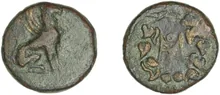 coin rev