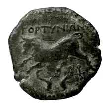 coin rev