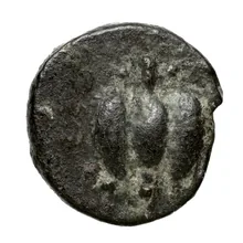 coin obv