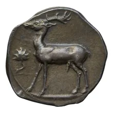 coin rev