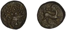 coin rev