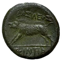 Phintias of Akragas rev