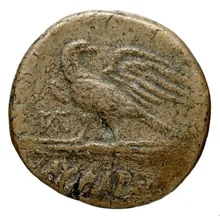coin rev