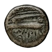 coin rev