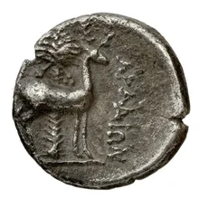 coin rev