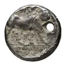 coin rev