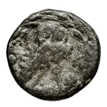 coin rev