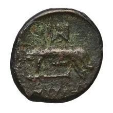 coin rev
