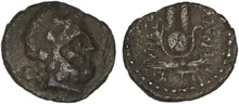coin rev