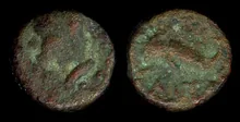 coin obv