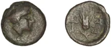 Eresus Hoover 2010 882