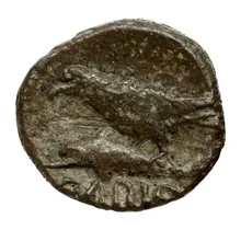 coin rev