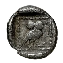 coin rev