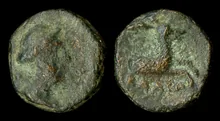 coin obv