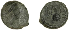coin obv