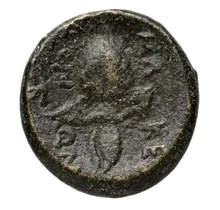 Bottiaei rev