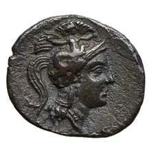 coin obv
