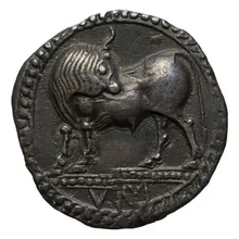 coin obv