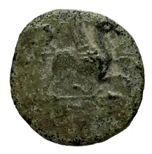 coin obv