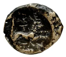 coin rev