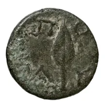 coin rev