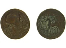 coin rev