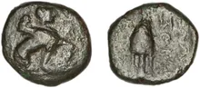 coin rev