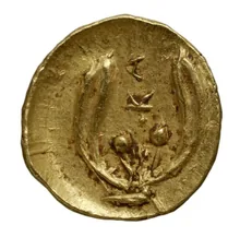 coin rev