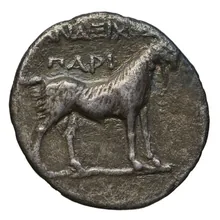 coin rev