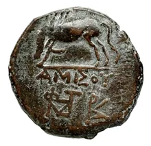 coin rev