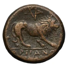 coin rev