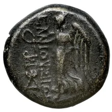coin rev