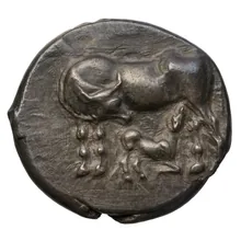 coin obv