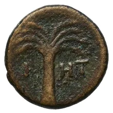 coin rev
