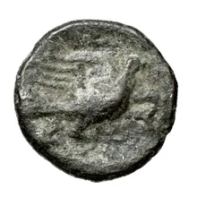 coin rev