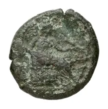 coin rev