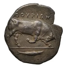 coin rev