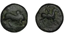 coin rev