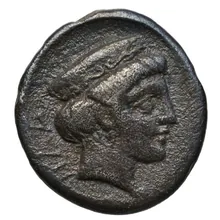 coin rev