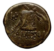 coin rev