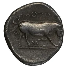 coin rev