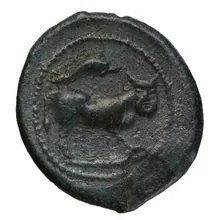 coin rev