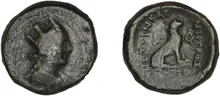 coin rev