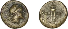 coin rev