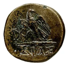 coin rev
